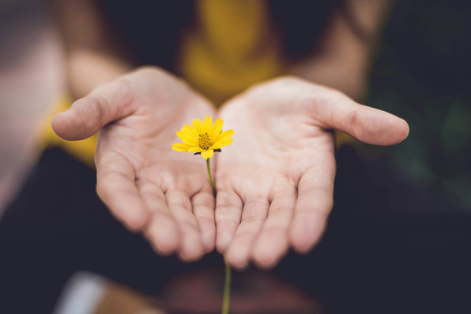 Featured image for “A Believer’s Promise / 7.12.2026”