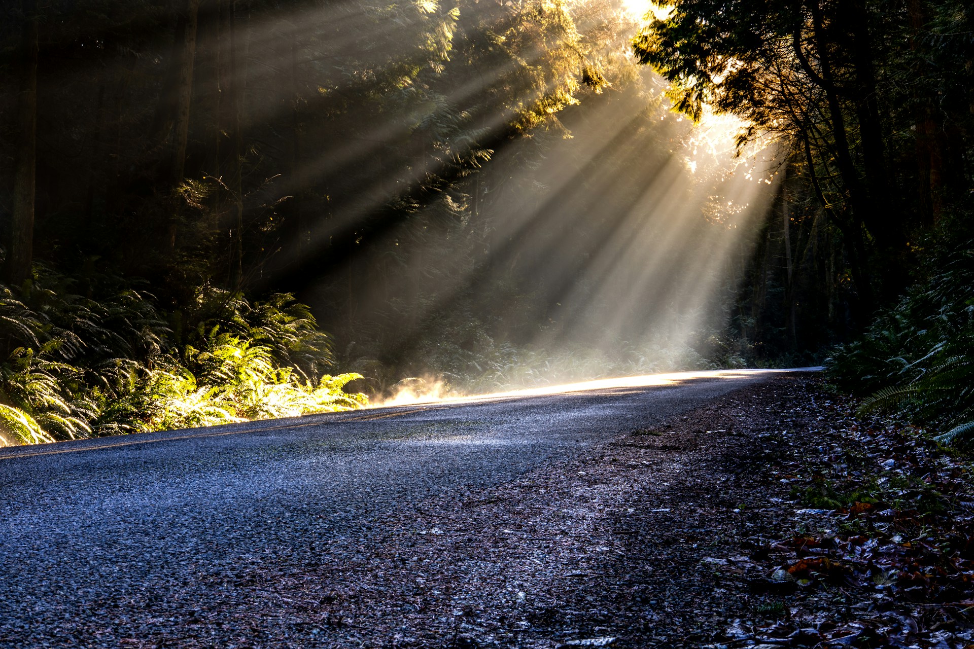 Featured image for “To Obtain Eternal Life / 9.27.2026”